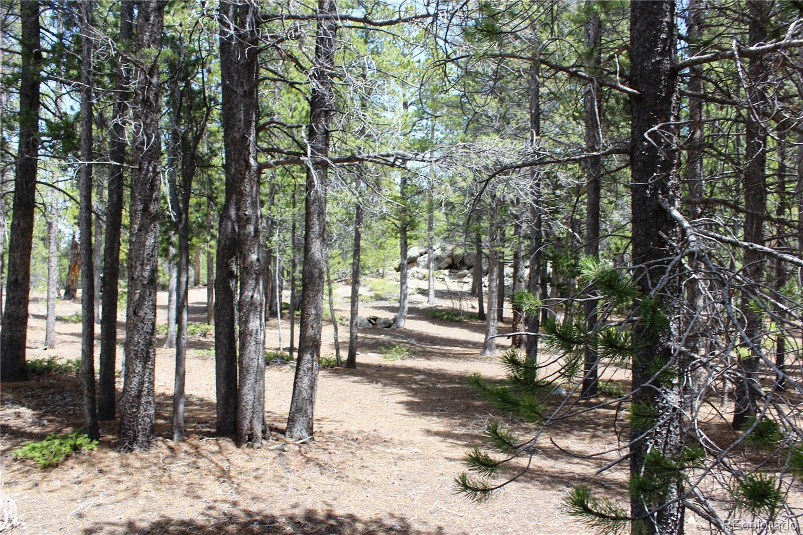 435 Aspen Road Black Hawk, CO 80422 - Photo 27 of 36