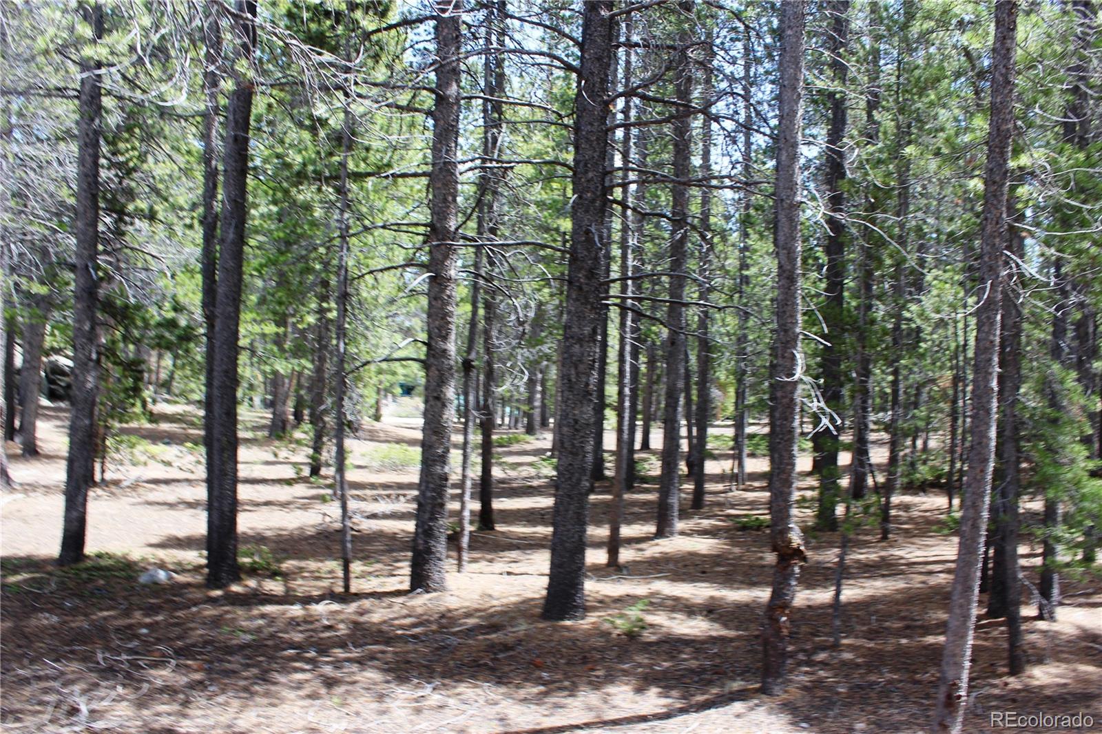 435 Aspen Road Black Hawk, CO 80422 - Photo 29 of 36