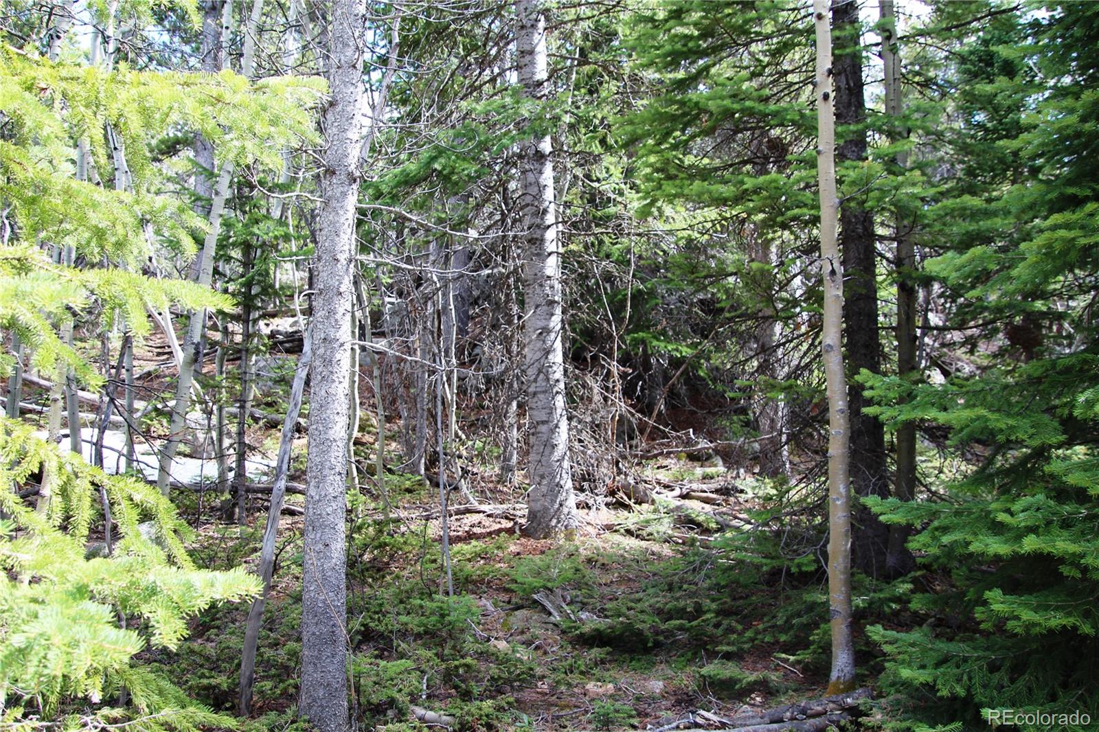 435 Aspen Road Black Hawk, CO 80422 - Photo 3 of 36