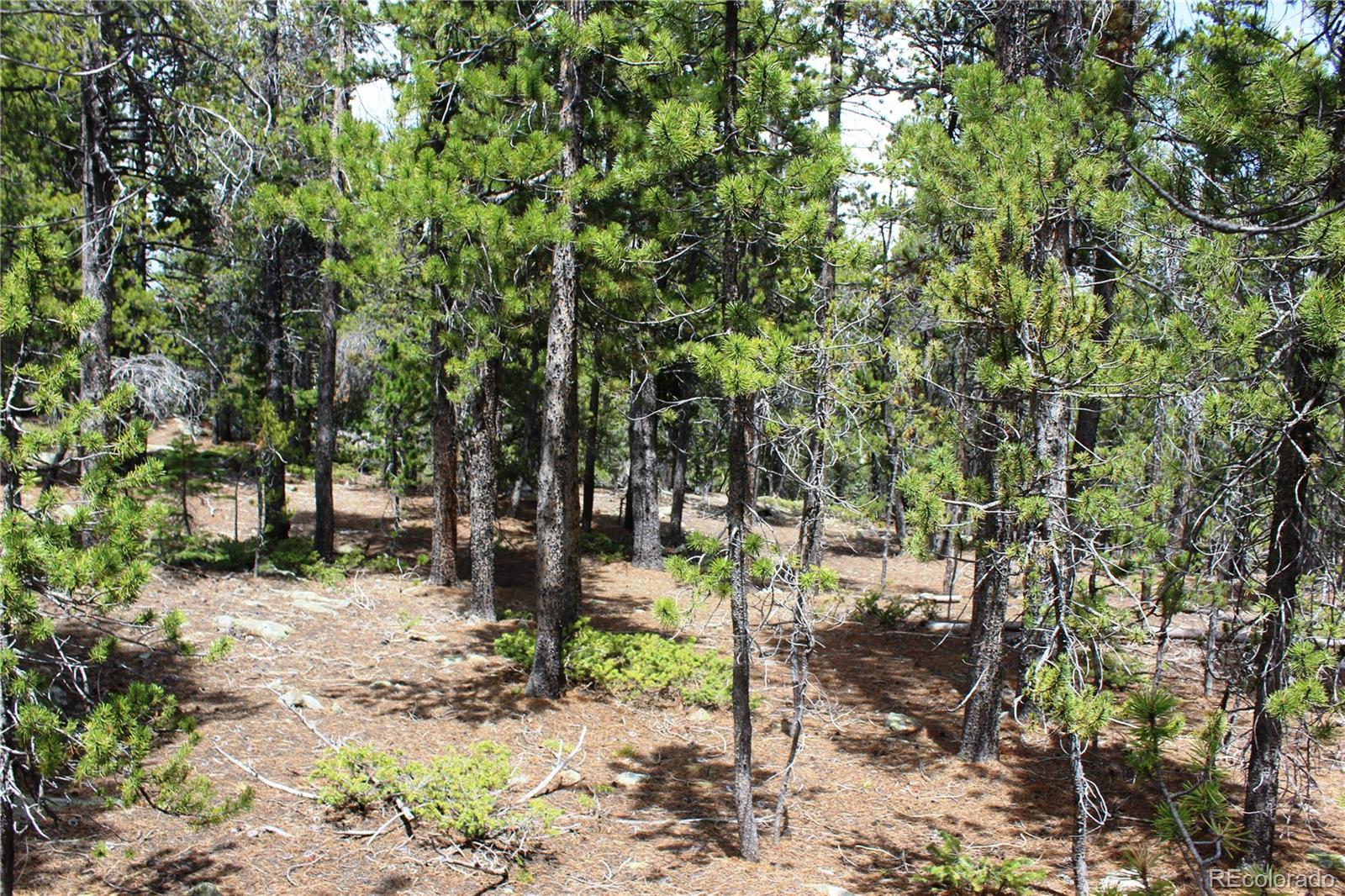 435 Aspen Road Black Hawk, CO 80422 - Photo 31 of 36