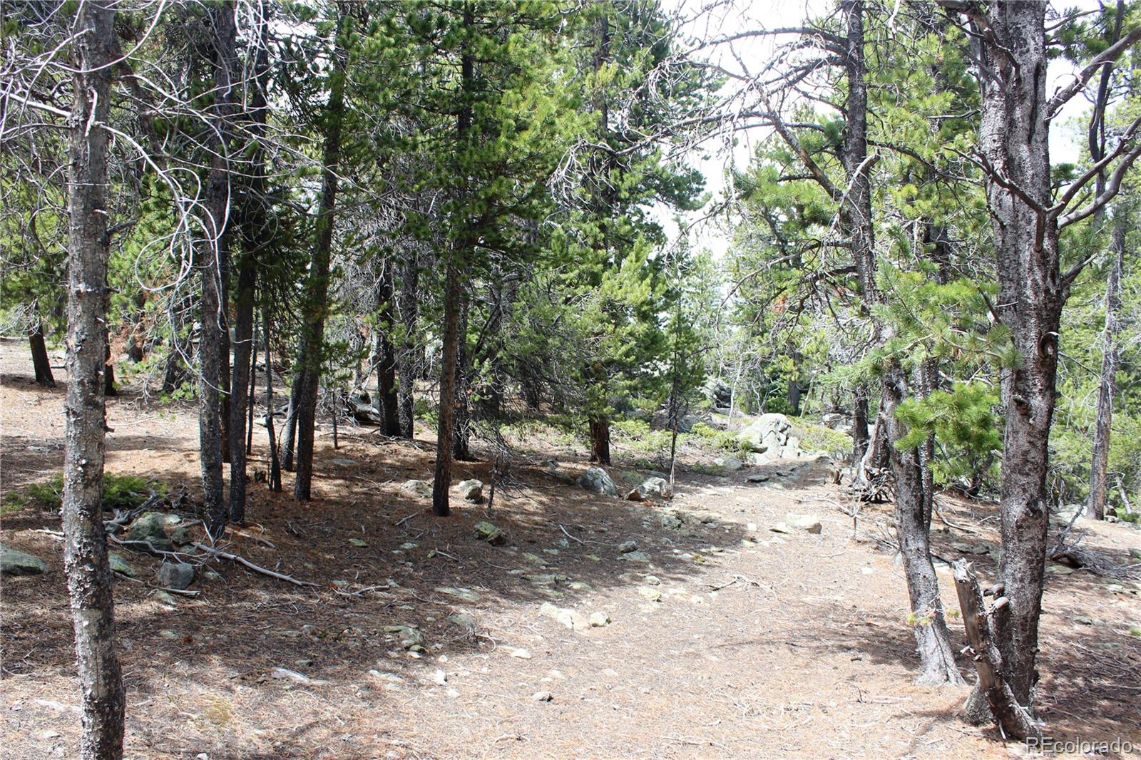 435 Aspen Road Black Hawk, CO 80422 - Photo 33 of 36