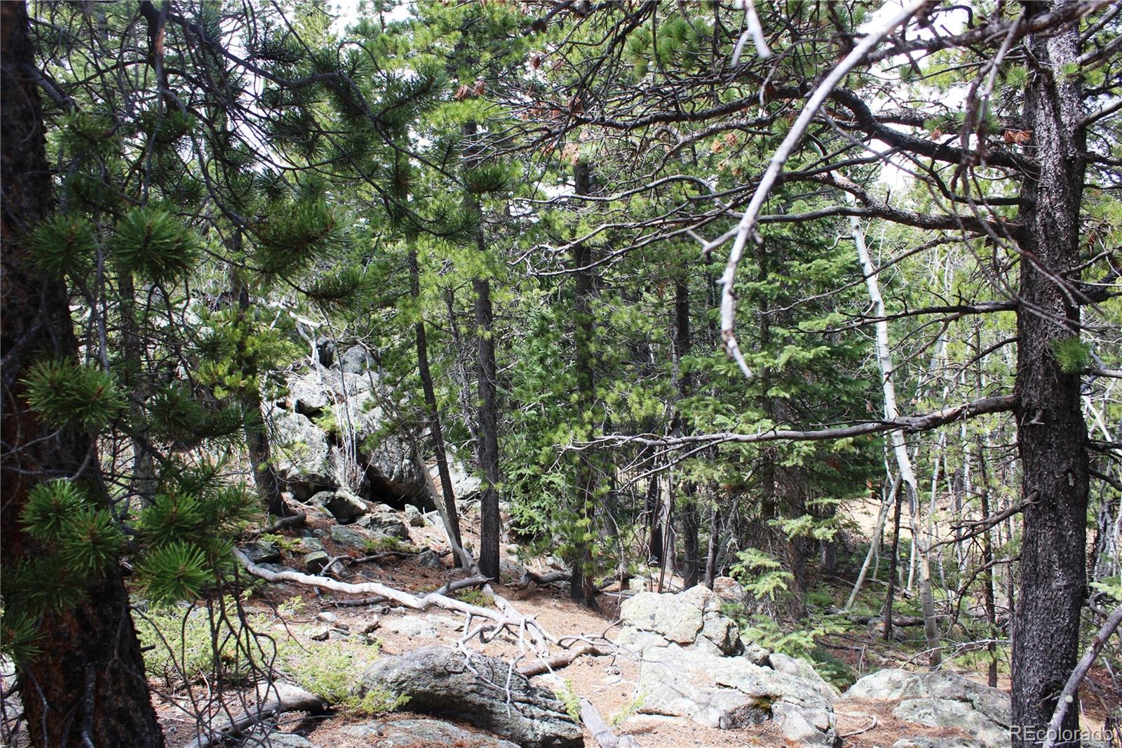 435 Aspen Road Black Hawk, CO 80422 - Photo 34 of 36