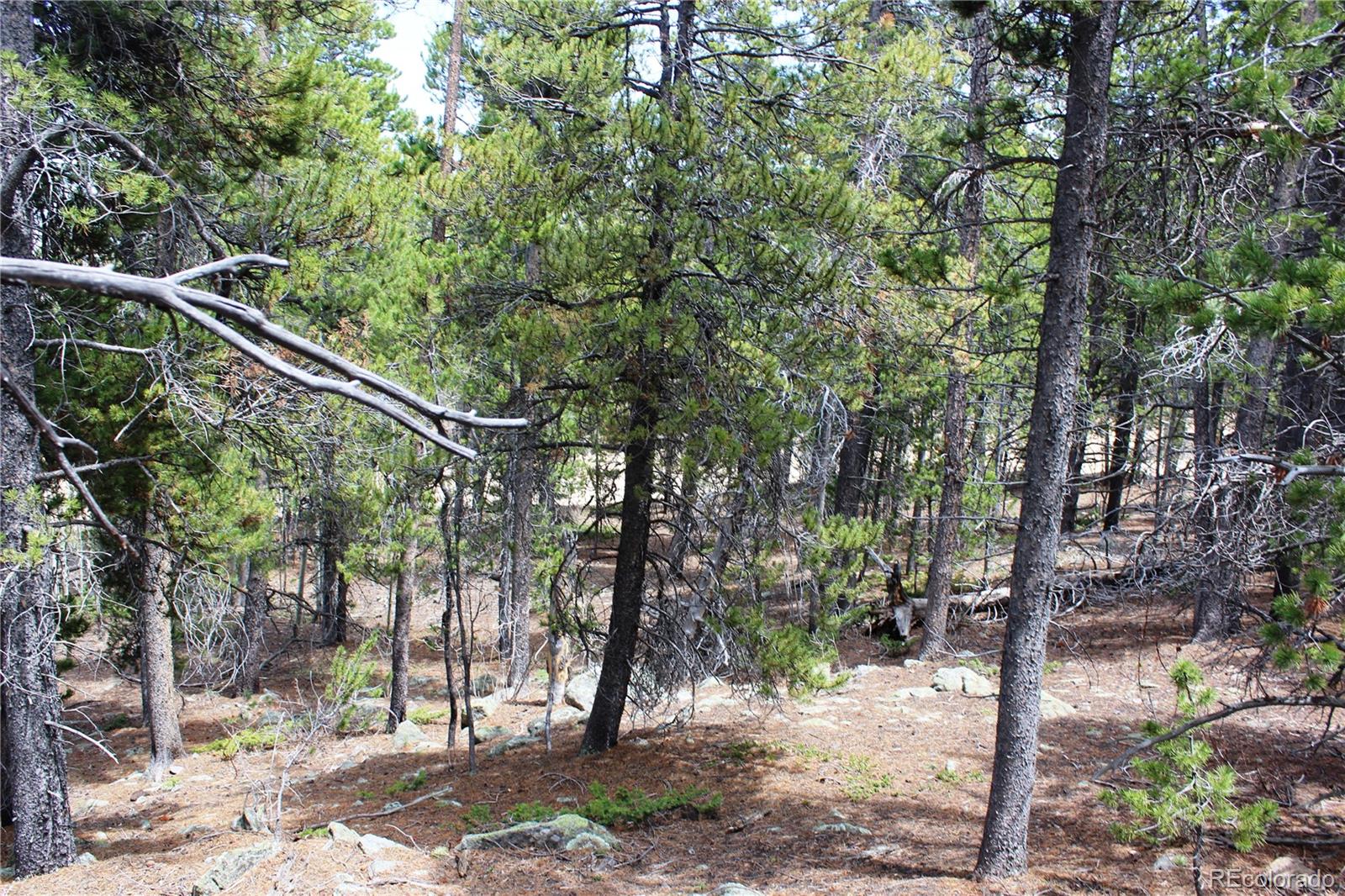 435 Aspen Road Black Hawk, CO 80422 - Photo 35 of 36