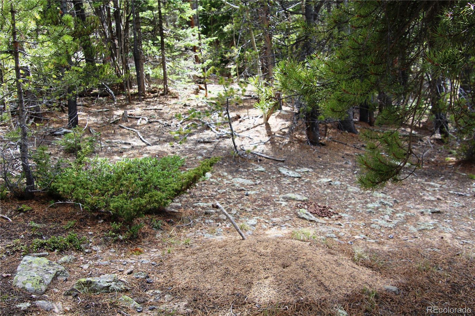 435 Aspen Road Black Hawk, CO 80422 - Photo 4 of 36