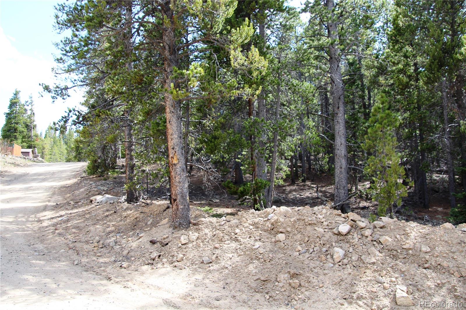 435 Aspen Road Black Hawk, CO 80422 - Photo 8 of 36