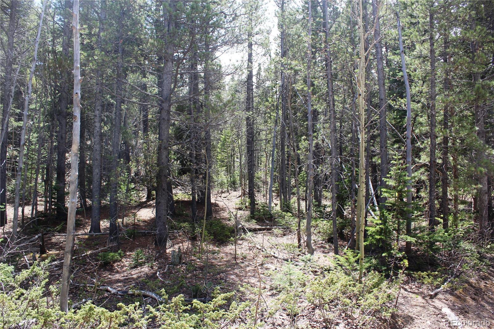 435 Aspen Road Black Hawk, CO 80422 - Photo 10 of 36