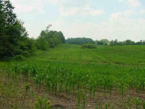 0 A And B Ridge Road Applegate, MI 48401 - Photo 13 of 17 909666-12.JPG