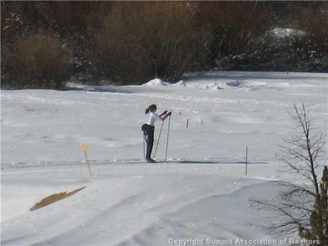 910 Gold Run Road Breckenridge, CO 80424 - Photo 8 of 25 Gallery Image 8