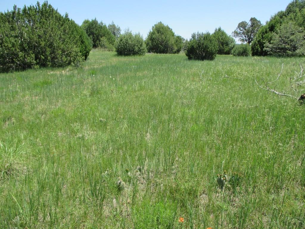 0 Co Road Trinidad, CO 81082 - Photo 34 of 64 Gallery Image 34