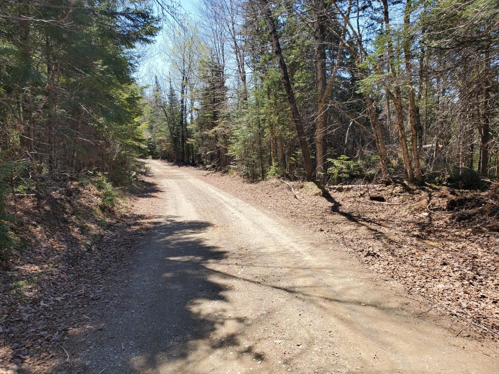 Lot S Lot S Bell Field River Road Wytopitlock, ME 04497 - Photo 2 of 6 20200519_112429