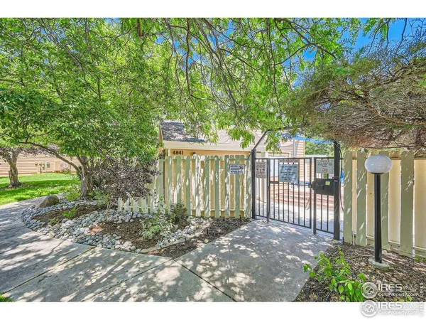 a view of a backyard with large trees and plants