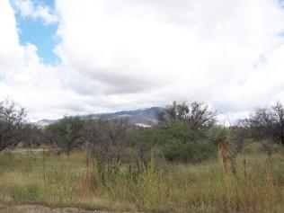 0 East Bell Road Benson, AZ 85602 - Photo 5 of 5
