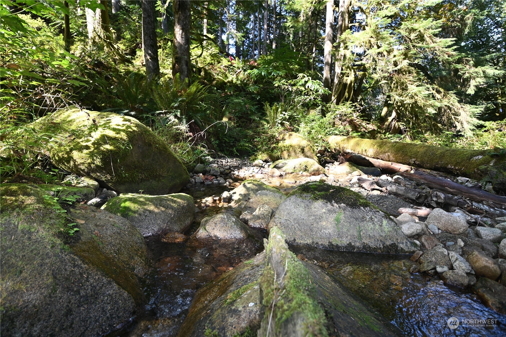 52016 South Riverside Road Gold Bar, WA 98251 - Photo 12 of 39 a view of a tree