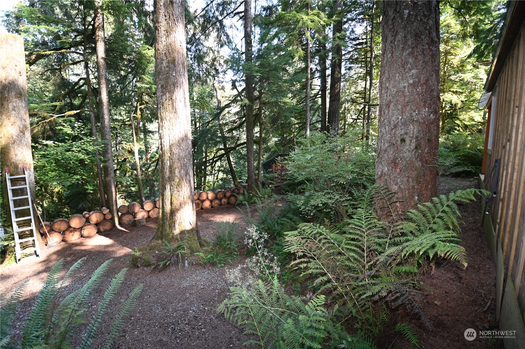 52016 South Riverside Road Gold Bar, WA 98251 - Photo 27 of 39 a view of outdoor space with lots of green space