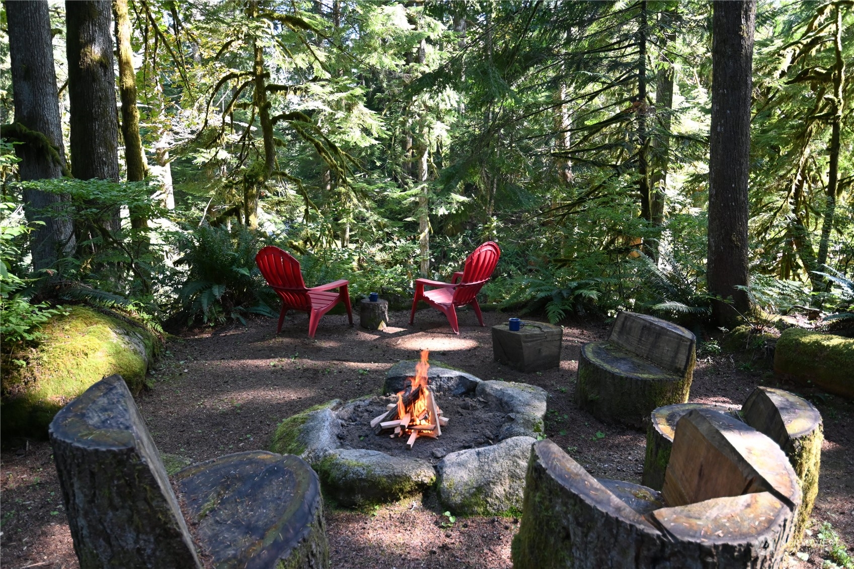 52016 South Riverside Road Gold Bar, WA 98251 - Photo 4 of 39 a backyard of a house with seating space and trees around