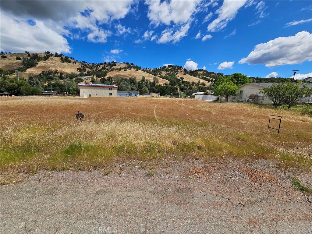 a view of large trees with a yard