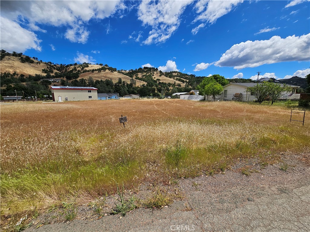 3144 Spring Valley Road Clearlake Oaks, CA 95423 - Photo 5 of 9 a view of large tree with a yard
