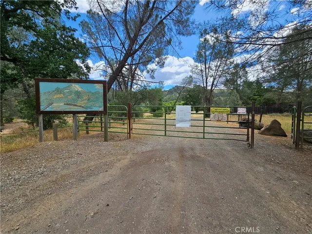 a view of a field with plants and trees