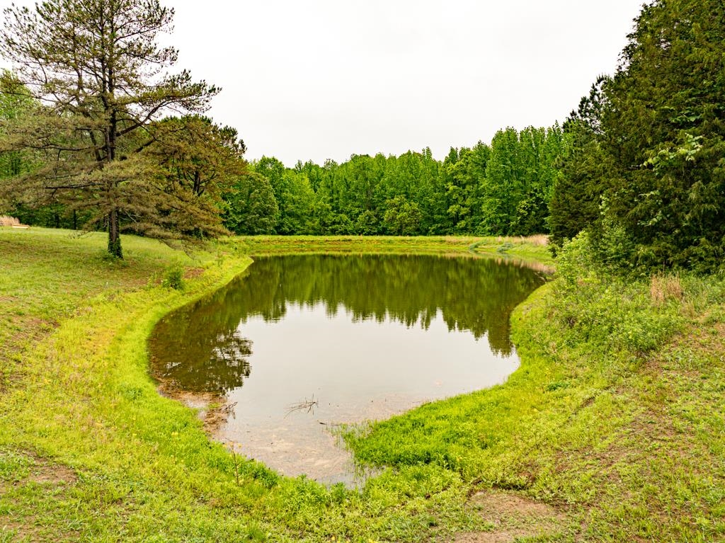 0 Poplar Grove Cemetery Road Henning, TN 38041 - Photo 14 of 40 Water view