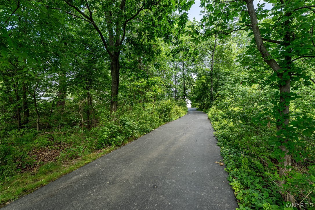 629 Lake Road Porter, NY 14174 - Photo 2 of 49 Trees covering Driveway