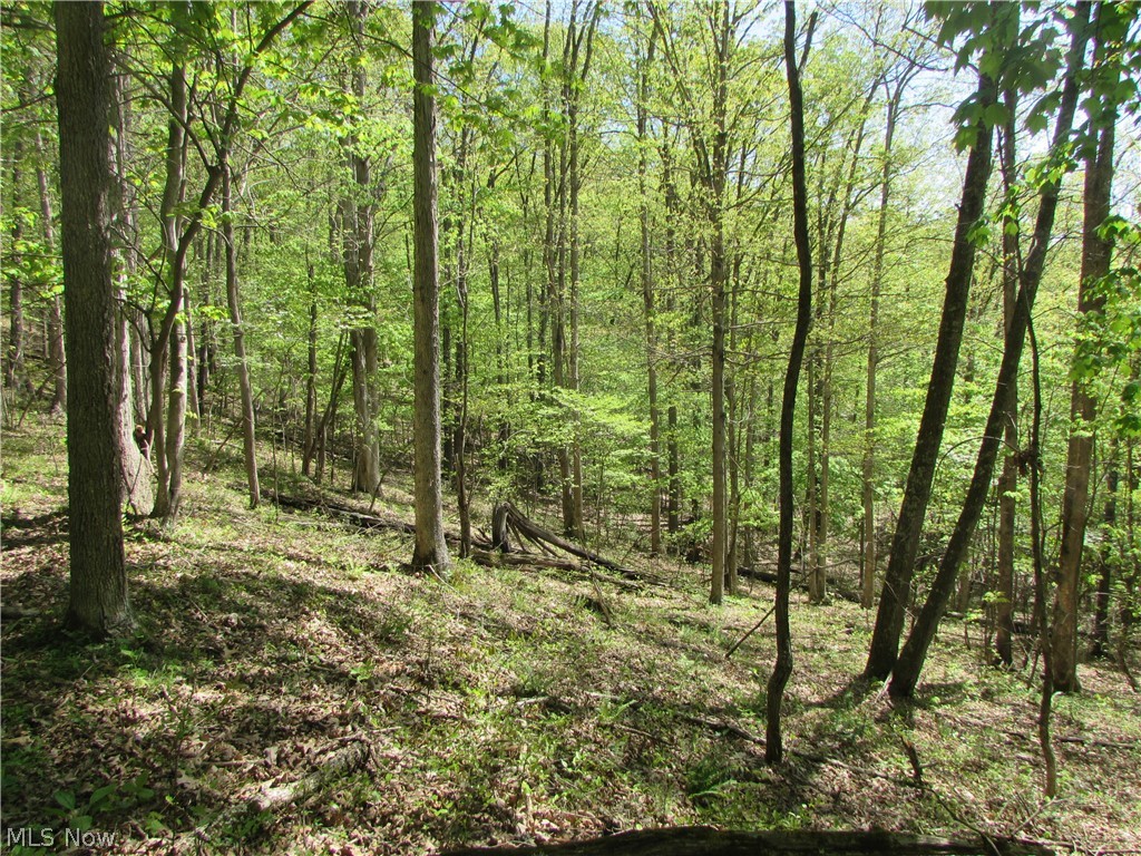 Mayberry Road Palestine, WV 26160 - Photo 17 of 20