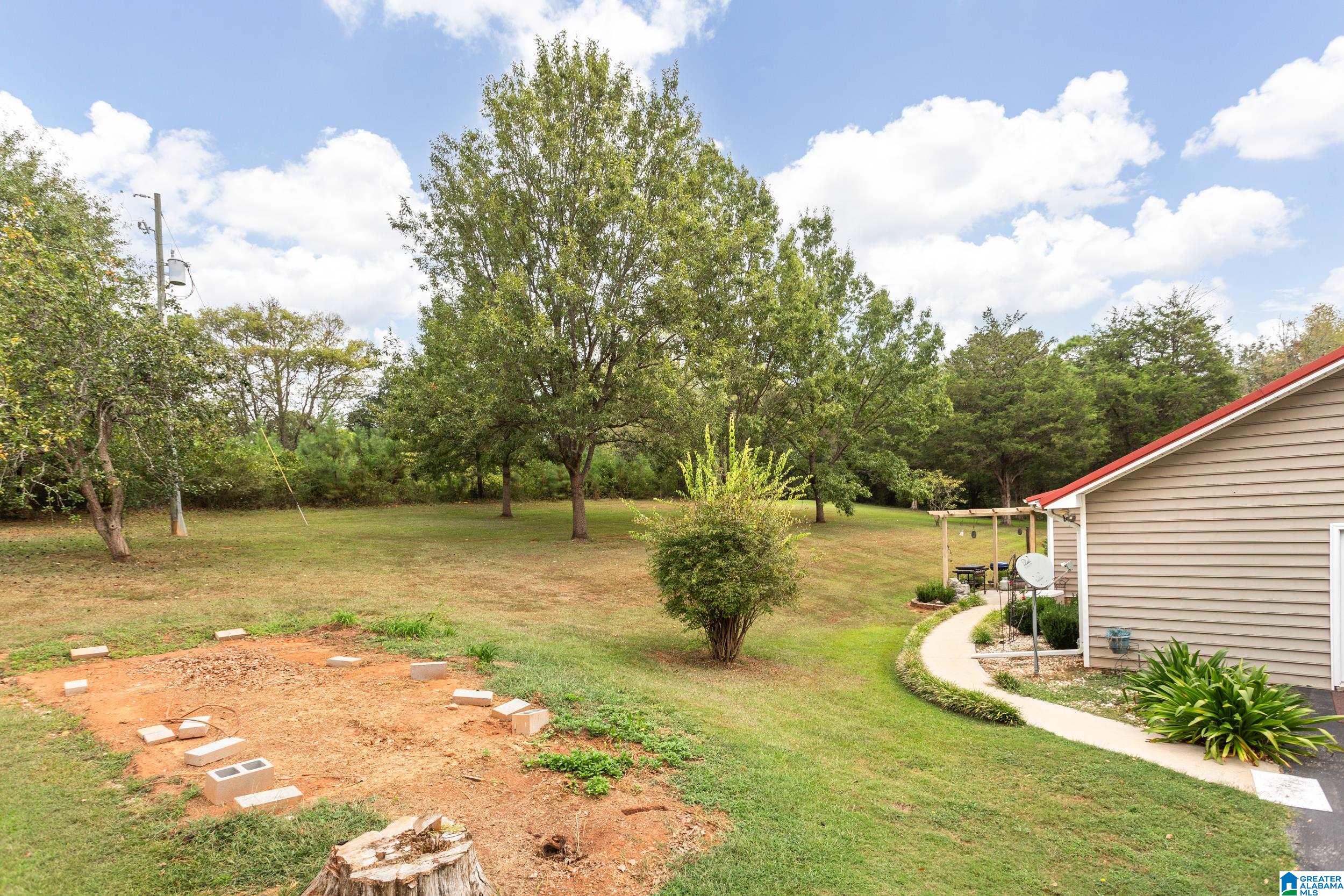 1150 Rochester Road Southeast Jacksonville, AL 36265 - Photo 29 of 36