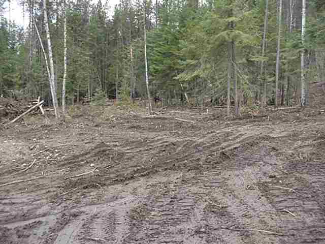 Xx Xx Le Clerc Road Ione, WA 99139 - Photo 1 of 4 Gallery Image 1