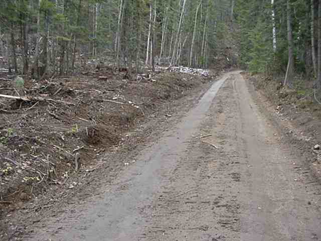 Xx Xx Le Clerc Road Ione, WA 99139 - Photo 3 of 4 Gallery Image 3