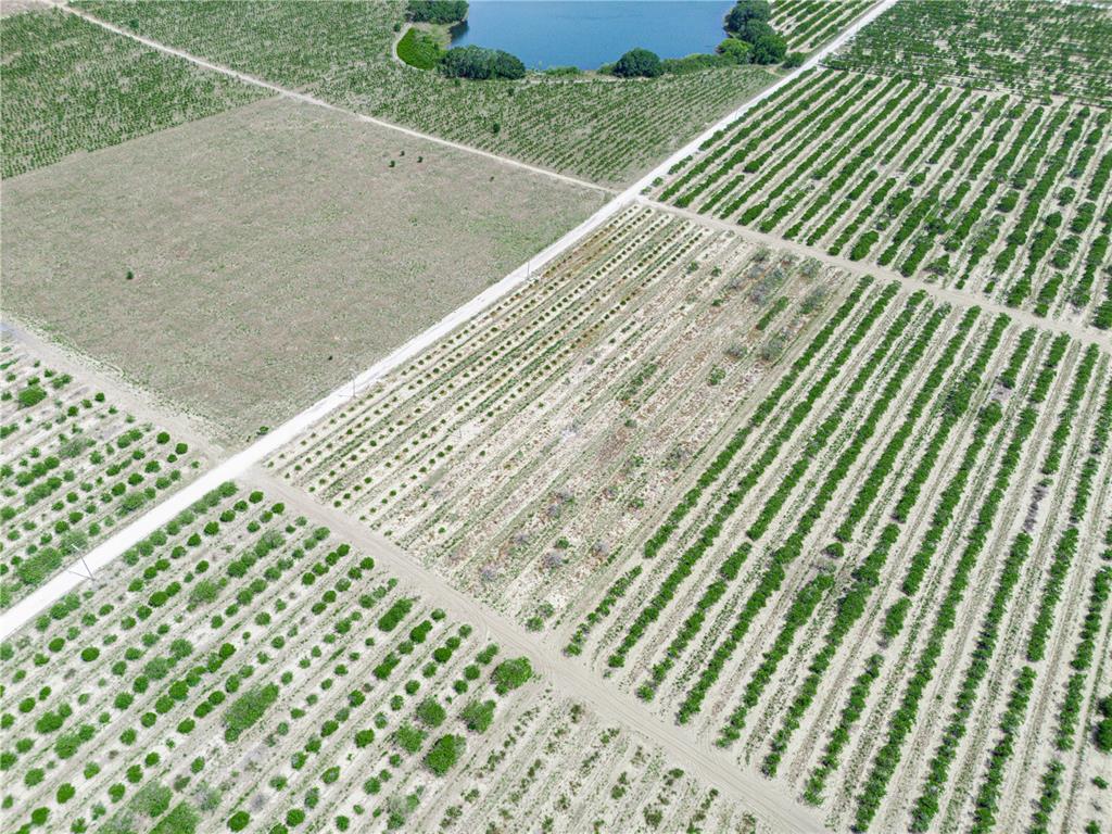 Gilbert Rd Lake Lake Wales, FL 33898 - Photo 11 of 17 a view of a backyard