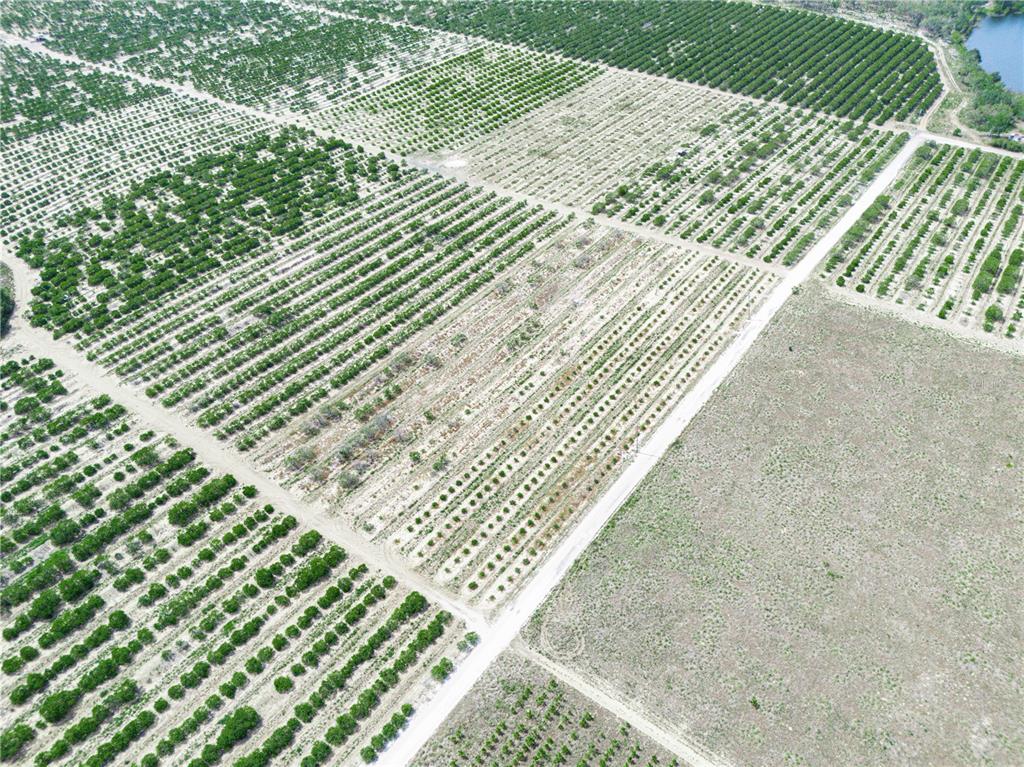 Gilbert Rd Lake Lake Wales, FL 33898 - Photo 13 of 17 a view of wooden floor