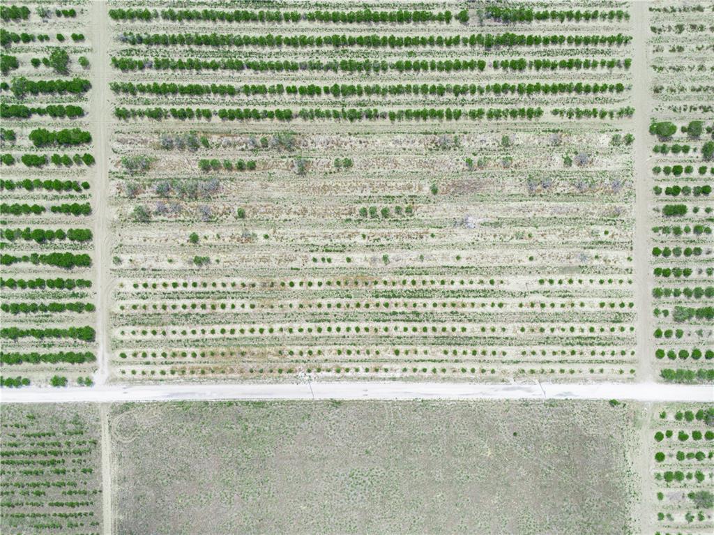 Gilbert Rd Lake Lake Wales, FL 33898 - Photo 16 of 17 a picture of a window