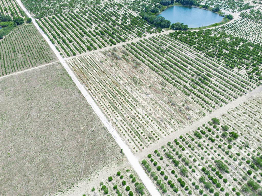 Gilbert Rd Lake Lake Wales, FL 33898 - Photo 10 of 17