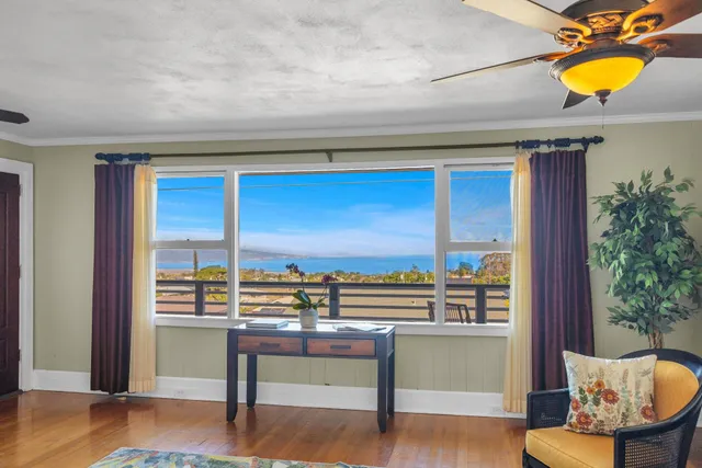 a view of backyard with table and chairs and potted plants