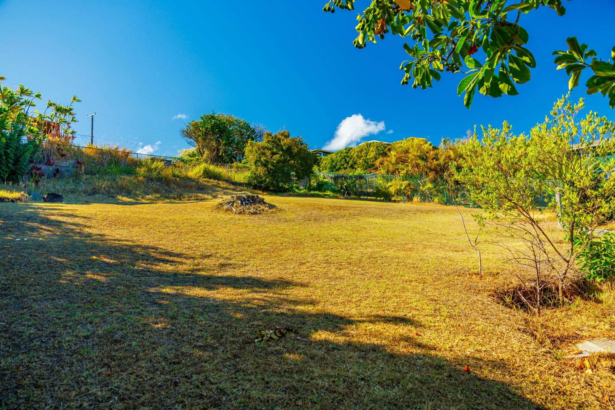 1123 Kehau Place Makawao, HI 96768 - Photo 49 of 50 a view of an ocean