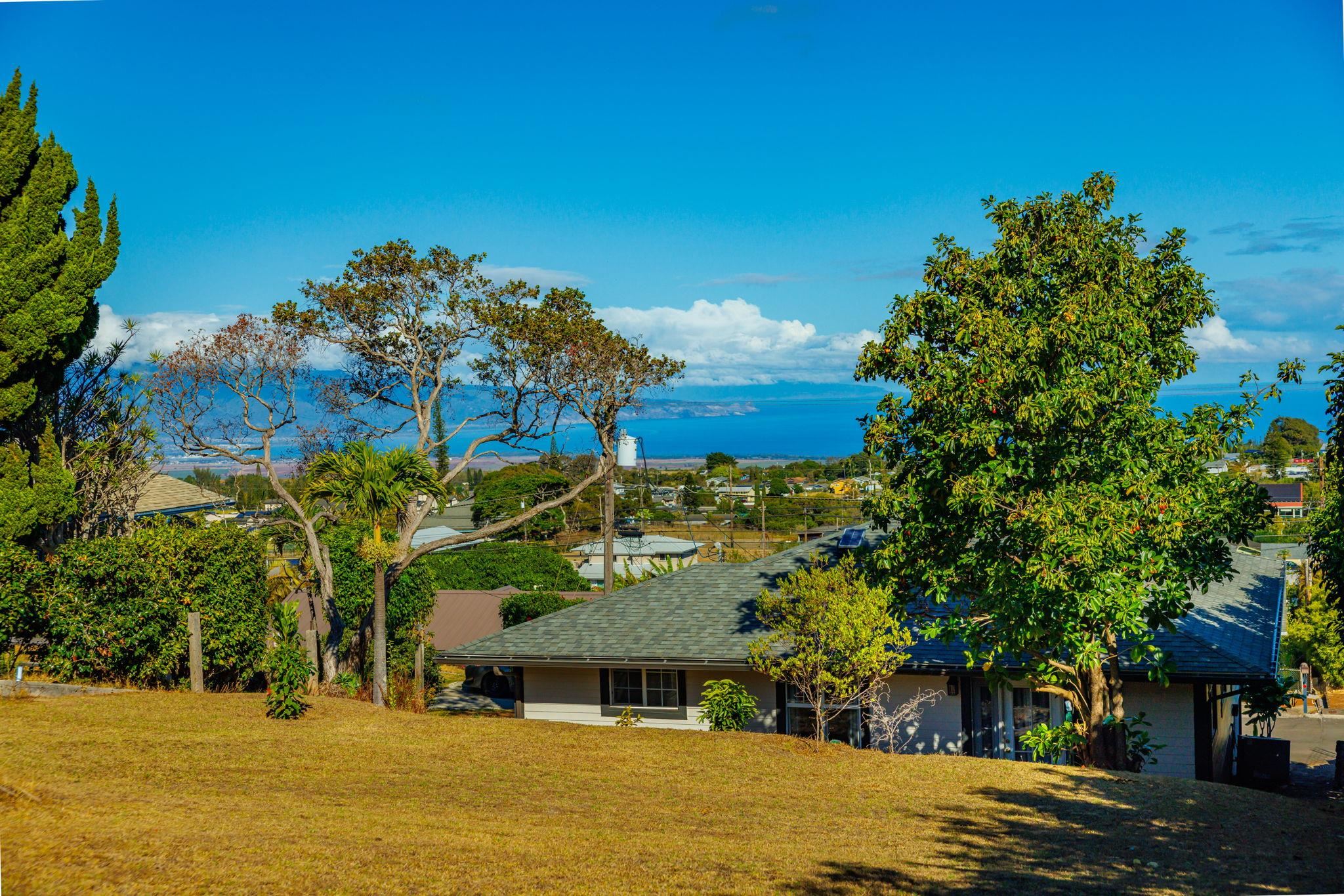 1123 Kehau Place Makawao, HI 96768 - Photo 50 of 50 a front view of a house with a yard