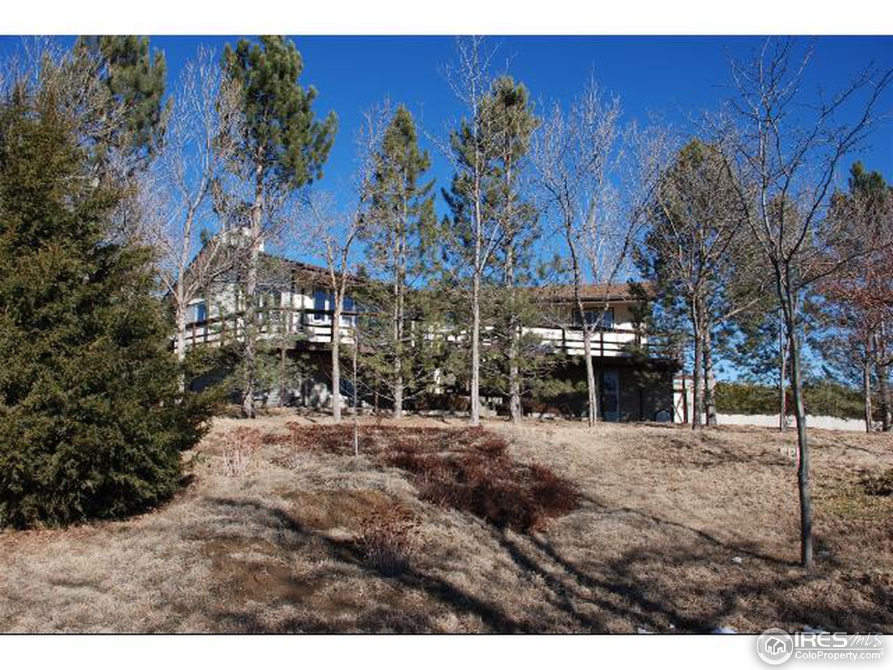 9251 Valmont Road Boulder, CO 80301 - Photo 1 of 14 a view of a backyard with a tree