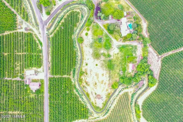 a swimming pool with a garden and plants