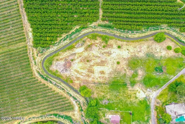 a view of a swimming pool with a garden and plants