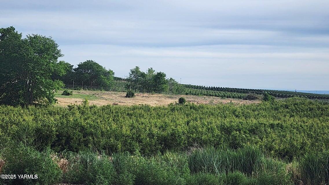 Nna Riggins Road Wapato, WA 98951 - Photo 21 of 31 a view of a lake with a big yard