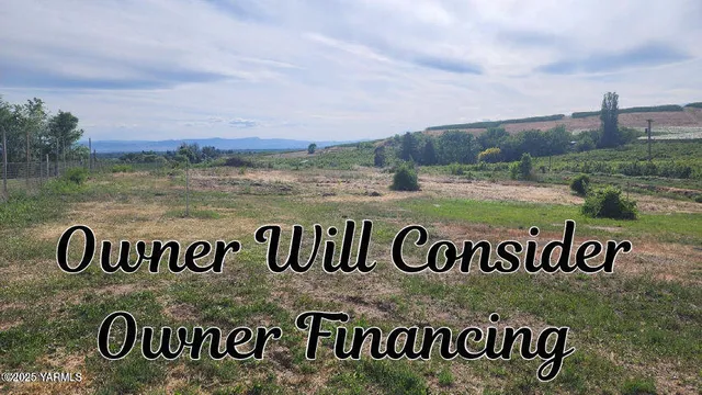 a view of a dry yard with trees