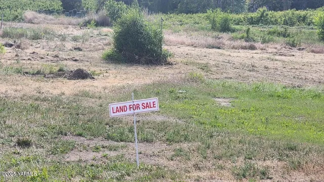 a view of a field with an trees