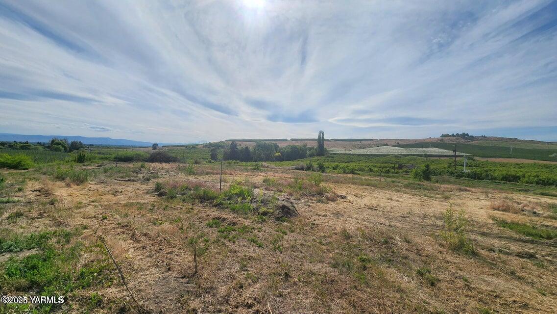 Nna Riggins Road Wapato, WA 98951 - Photo 24 of 31 a view of a field with an trees