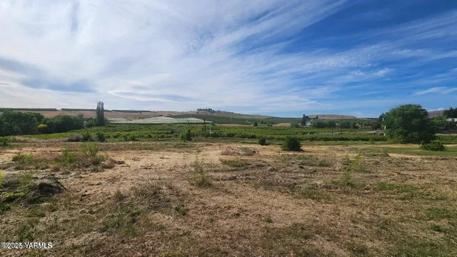 a view of a field with trees in background