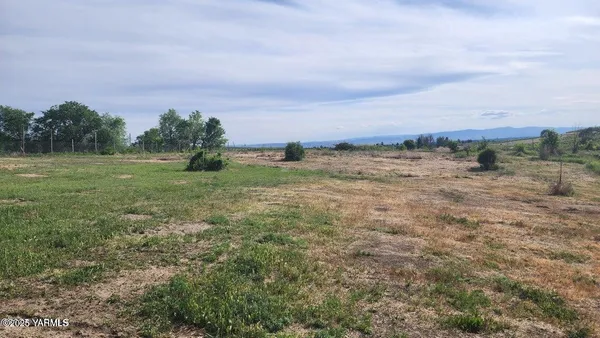 a view of a big yard with an trees