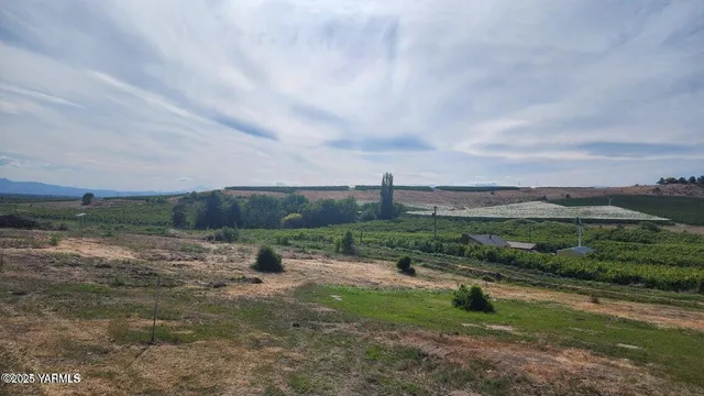 a view of outdoor space and yard