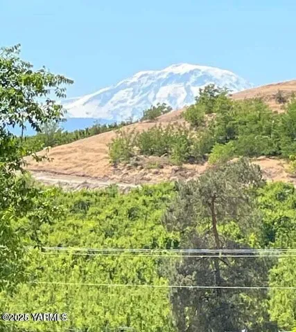 a view of a yard with an ocean beach