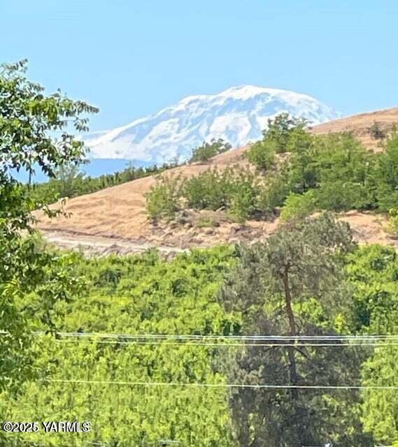 Nna Riggins Road Wapato, WA 98951 - Photo 4 of 31 a view of a yard