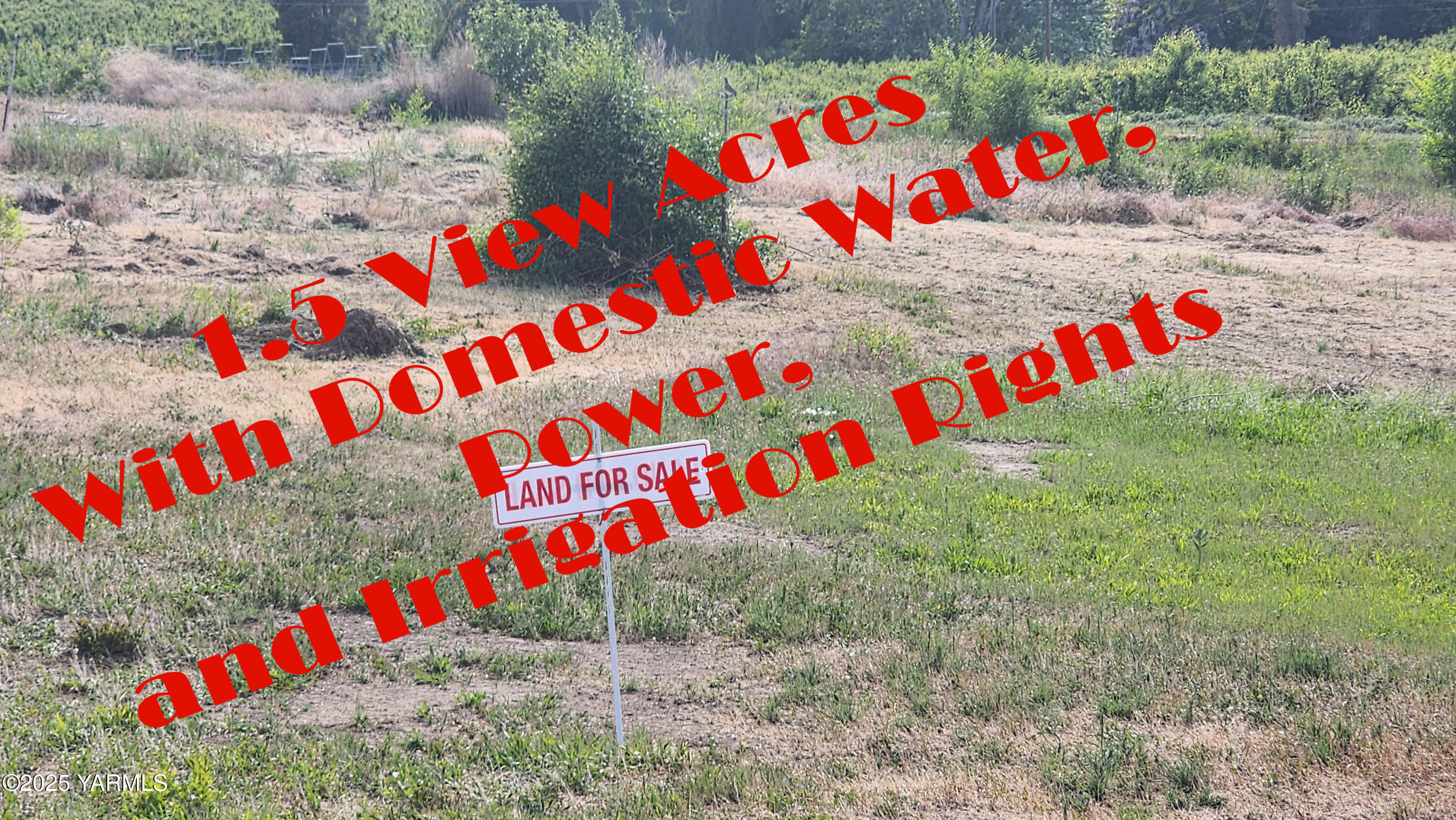 Nna Riggins Road Wapato, WA 98951 - Photo 7 of 31 a street sign that is next to a road