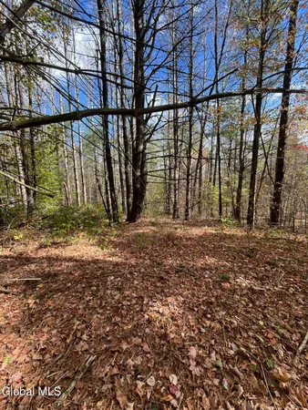 $119,000 | L5.2 Warner Road, Granville, NY 12832