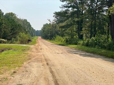 0 Green Road Dothan, AL 36303 - Photo 3 of 6